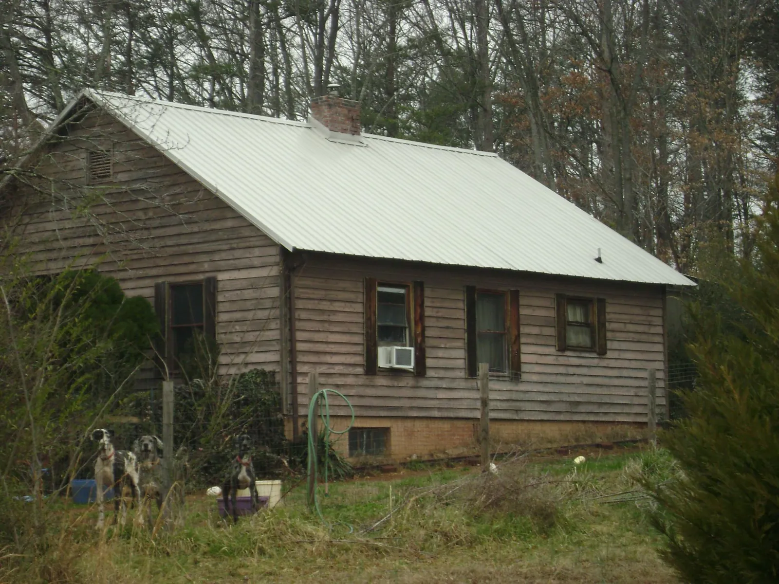 White metal roof on an old wood sided farmhouse, from a Metal Roof Installation job in Coos Bay